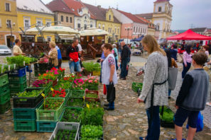 Farmářské trhy v Kadani