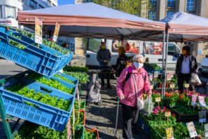 Farmářské trhy v Ústí nad Labem