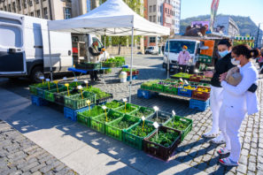 Farmářské trhy v Ústí nad Labem