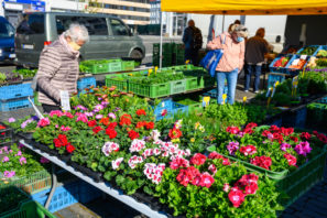 Farmářské trhy v Ústí nad Labem