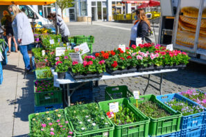 Farmářské trhy v Ústí nad Labem