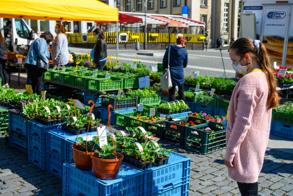Farmářské trhy v Ústí nad Labem