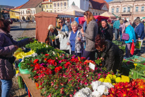 Farmářské trhy v Kadani