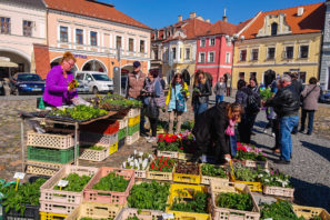 Farmářské trhy v Kadani
