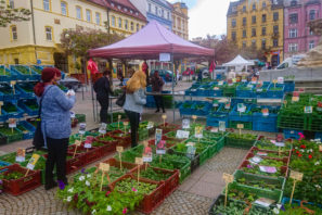 Farmářské trhy v Děčíně