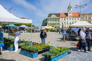 Farmářské trhy v Teplicích