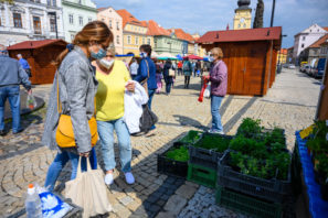 Farmářské trhy v Žatci
